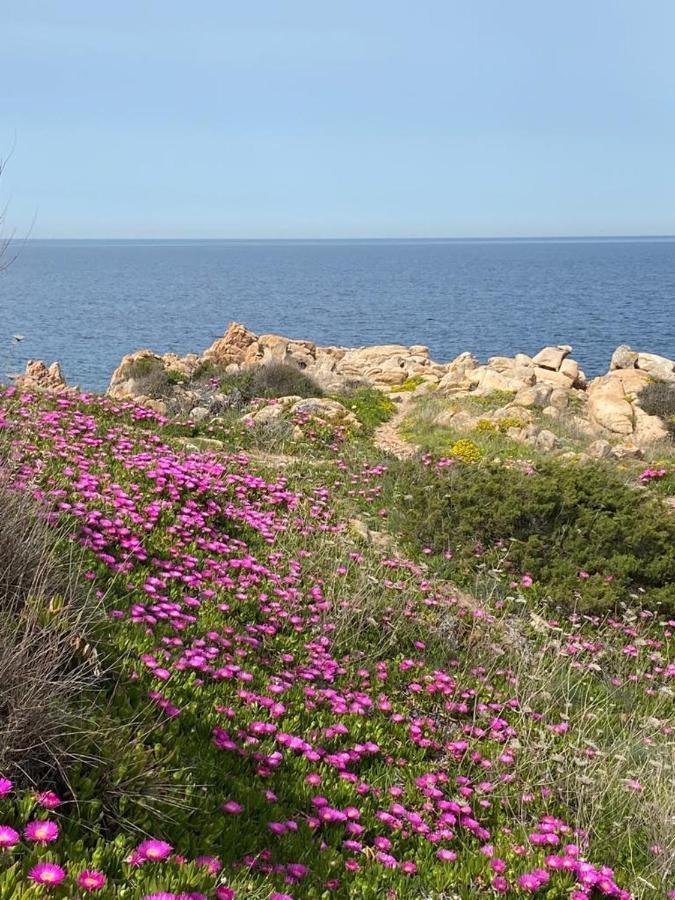 Casa Mughetto R5055 Seafront, Private Sea Access, Swimming Pool Villa La Maddalena  Kültér fotó