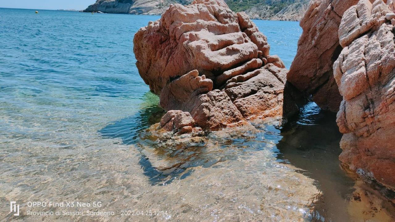 Casa Mughetto R5055 Seafront, Private Sea Access, Swimming Pool Villa La Maddalena  Kültér fotó