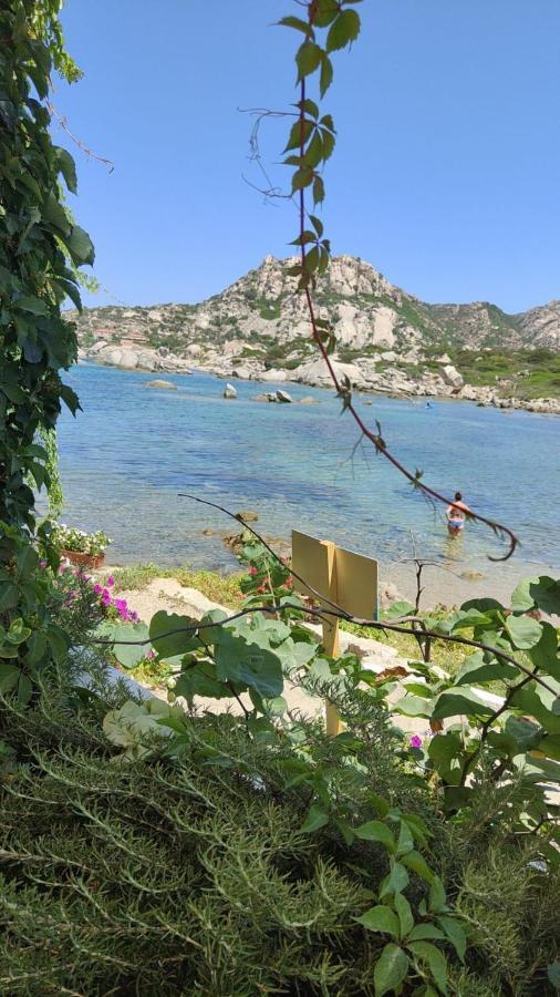 Casa Mughetto R5055 Seafront, Private Sea Access, Swimming Pool Villa La Maddalena  Kültér fotó