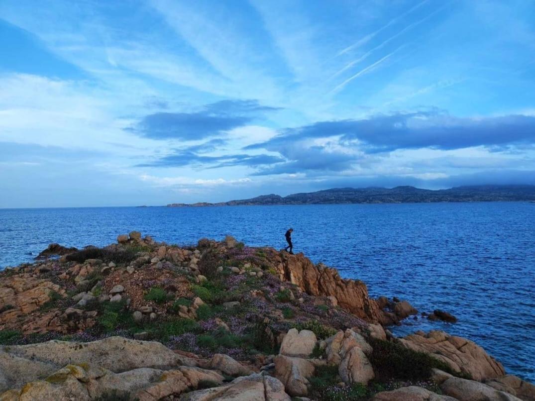 Casa Mughetto R5055 Seafront, Private Sea Access, Swimming Pool Villa La Maddalena  Kültér fotó